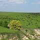 Далеко, далеко на лугу пасутся ко…. Фото: Е.В.Софронов